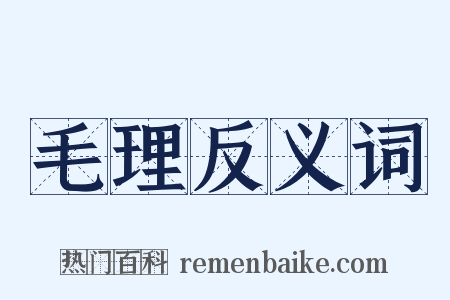 毛理反义词是什么意思的图片